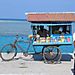 Shop on the Jetty