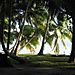 Havelock Island Sunrise resort