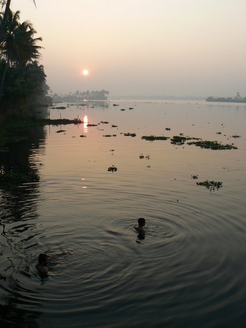 Bain dans les backwaters