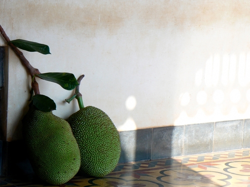 Jack fruits