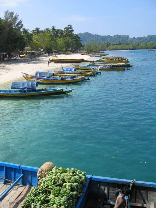 Havelock jetty's beach