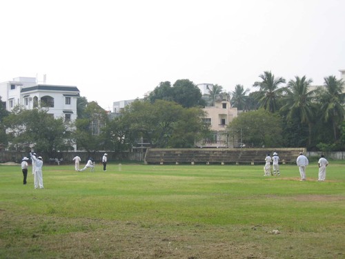 Cricket du dimanche