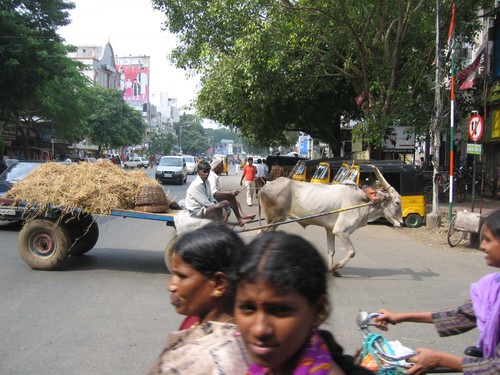 T Nagar notre quartier