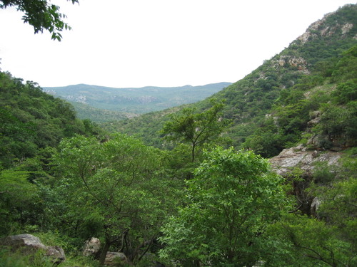 Colline de l'Andhra Pradesh